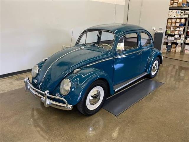 1960 Volkswagen Beetle (CC-1655783) for sale in Cadillac, Michigan