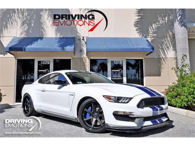 2017 Ford Mustang Shelby GT350 (CC-1655886) for sale in West Palm Beach, Florida