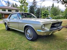 1967 Ford Mustang (CC-1656214) for sale in Cadillac, Michigan