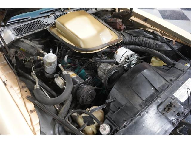 1980 Pontiac Firebird (CC-1656225) for sale in Lavergne, Tennessee