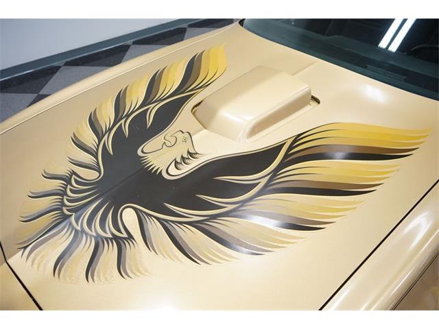1980 Pontiac Firebird (CC-1656225) for sale in Lavergne, Tennessee