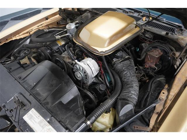 1980 Pontiac Firebird (CC-1656225) for sale in Lavergne, Tennessee