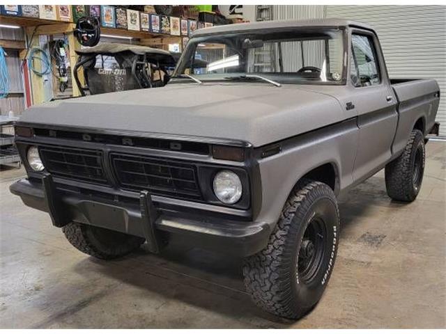 1977 Ford Pickup (CC-1656239) for sale in Cadillac, Michigan