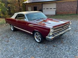 1966 Ford Fairlane (CC-1656272) for sale in Greensboro, North Carolina