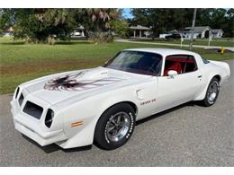 1976 Pontiac Firebird Trans Am (CC-1656635) for sale in Cadillac, Michigan