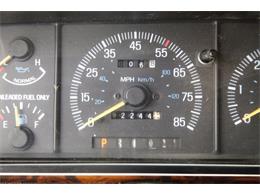 1990 Ford Bronco (CC-1656963) for sale in Morgantown, Pennsylvania