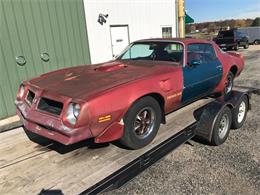 1976 Pontiac Firebird Trans Am (CC-1657130) for sale in Knightstown, Indiana