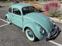 1963 Volkswagen Beetle (CC-1657282) for sale in Fruita, Colorado