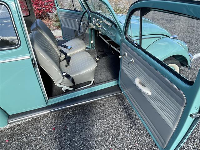 1963 Volkswagen Beetle (CC-1657282) for sale in Fruita, Colorado