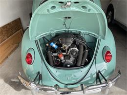 1963 Volkswagen Beetle (CC-1657282) for sale in Fruita, Colorado