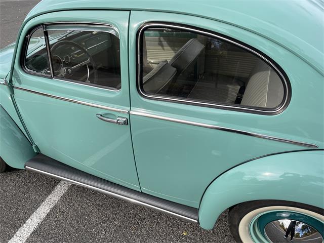 1963 Volkswagen Beetle (CC-1657282) for sale in Fruita, Colorado