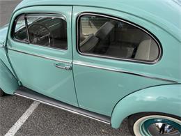 1963 Volkswagen Beetle (CC-1657282) for sale in Fruita, Colorado