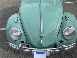 1963 Volkswagen Beetle (CC-1657282) for sale in Fruita, Colorado