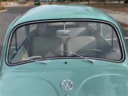 1963 Volkswagen Beetle (CC-1657282) for sale in Fruita, Colorado
