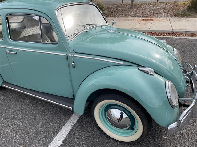 1963 Volkswagen Beetle (CC-1657282) for sale in Fruita, Colorado