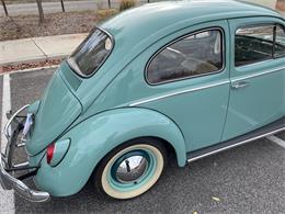 1963 Volkswagen Beetle (CC-1657282) for sale in Fruita, Colorado