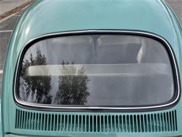 1963 Volkswagen Beetle (CC-1657282) for sale in Fruita, Colorado