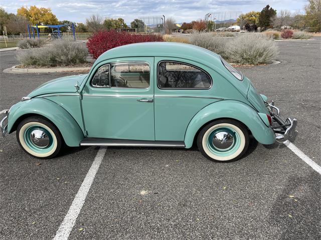 1963 Volkswagen Beetle (CC-1657282) for sale in Fruita, Colorado