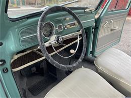 1963 Volkswagen Beetle (CC-1657282) for sale in Fruita, Colorado