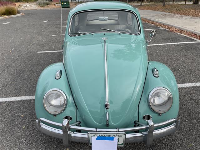 1963 Volkswagen Beetle (CC-1657282) for sale in Fruita, Colorado