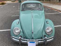 1963 Volkswagen Beetle (CC-1657282) for sale in Fruita, Colorado