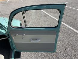 1963 Volkswagen Beetle (CC-1657282) for sale in Fruita, Colorado