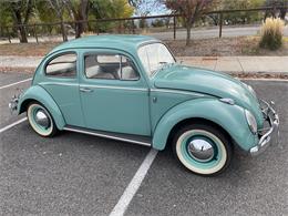 1963 Volkswagen Beetle (CC-1657282) for sale in Fruita, Colorado