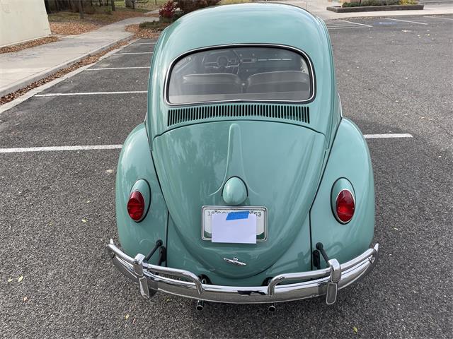 1963 Volkswagen Beetle (CC-1657282) for sale in Fruita, Colorado