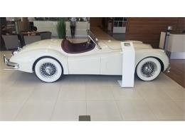 1955 Jaguar XK140 (CC-1657519) for sale in Winter Park, Florida