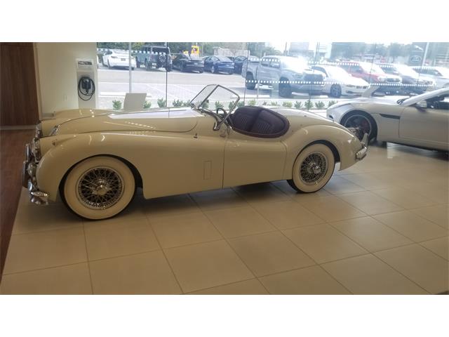 1955 Jaguar XK140 (CC-1657519) for sale in Winter Park, Florida