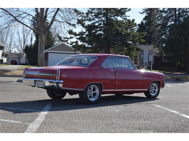 1967 Chevrolet Nova (CC-1657578) for sale in Watertown, Minnesota