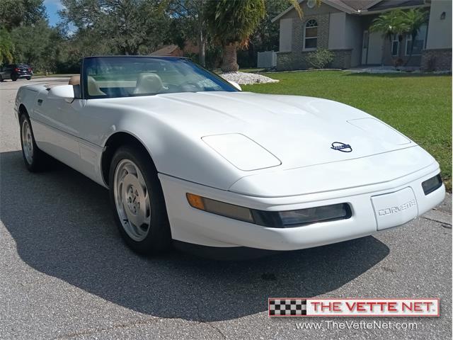 1995 Chevrolet Corvette (CC-1657582) for sale in Sarasota, Florida