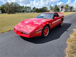 1989 Chevrolet Corvette (CC-1658304) for sale in Lakeland, Florida