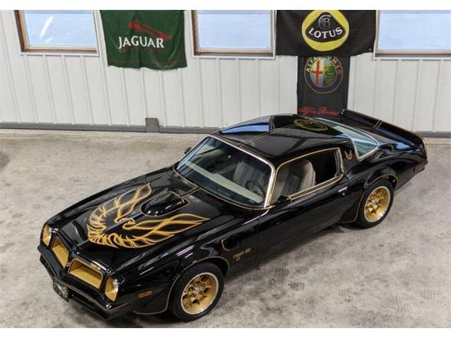 1976 Pontiac Firebird (CC-1658826) for sale in Cadillac, Michigan