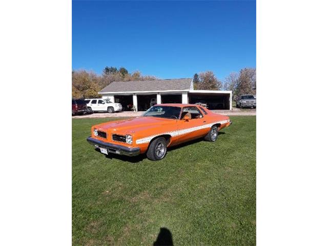 1974 Pontiac LeMans (CC-1658833) for sale in Cadillac, Michigan