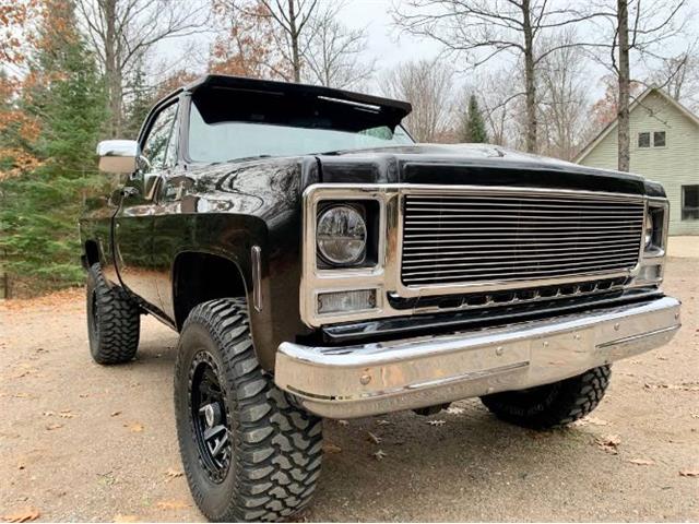 1979 Chevrolet K-10 for Sale | ClassicCars.com | CC-1658852