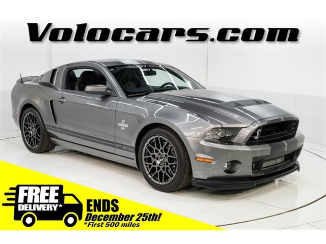 2014 Ford Shelby Cobra (CC-1659157) for sale in Volo, Illinois