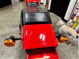 1982 Honda Ascot (CC-1659212) for sale in Burlington, Washington