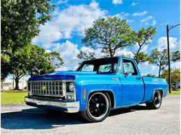 1980 Chevrolet C10 (CC-1659373) for sale in Largo, Florida