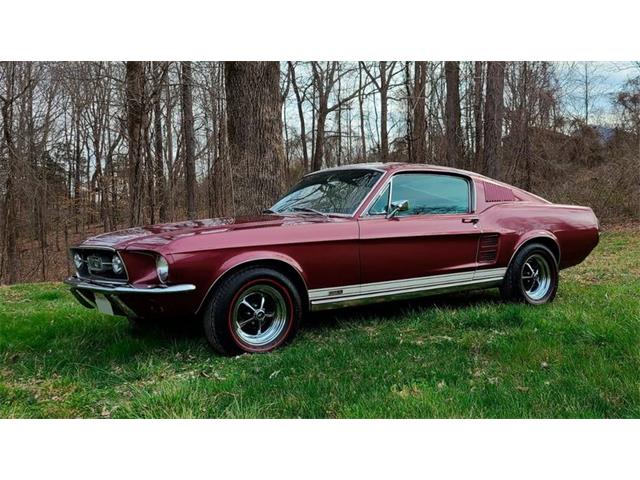 1967 Ford Mustang (CC-1659605) for sale in Lakeland, Florida