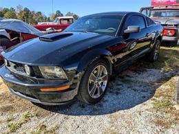 2008 Ford Mustang (CC-1661482) for sale in Gray Court, South Carolina
