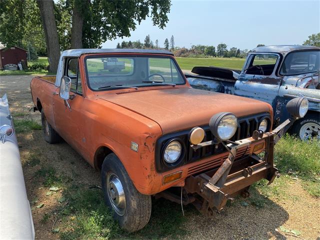 1976 International Scout (CC-1661749) for sale in Brookings, South Dakota
