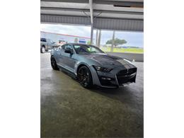 2022 Shelby Mustang (CC-1661934) for sale in Lakeland, Florida