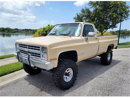 1987 Chevrolet Custom (CC-1661935) for sale in Lakeland, Florida