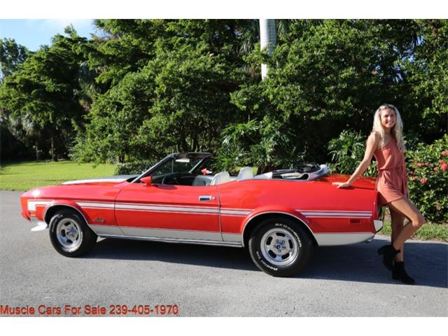 1973 Ford Mustang (CC-1661966) for sale in Fort Myers, Florida