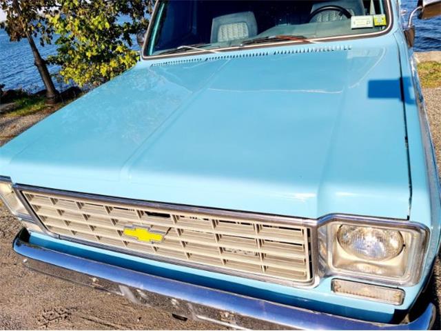 1976 Chevrolet Blazer (CC-1662123) for sale in Cadillac, Michigan