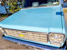 1976 Chevrolet Blazer (CC-1662123) for sale in Cadillac, Michigan