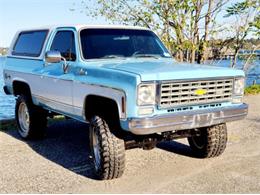 1976 Chevrolet Blazer (CC-1662123) for sale in Cadillac, Michigan