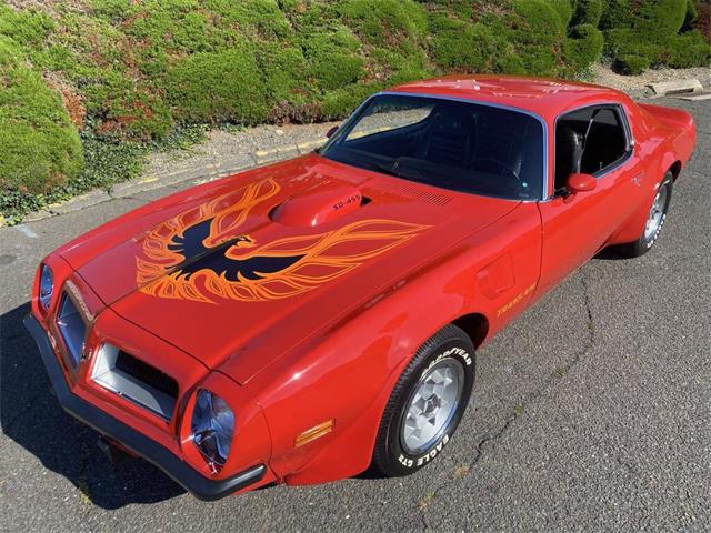 1974 Pontiac Firebird Trans Am for Sale | ClassicCars.com | CC-1663838