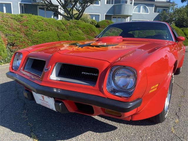 1974 Pontiac Firebird Trans Am for Sale | ClassicCars.com | CC-1663838